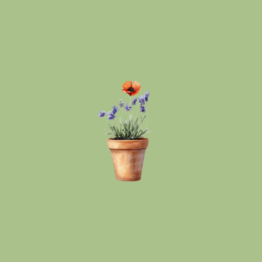 Terracotta Flower Pot ~Large