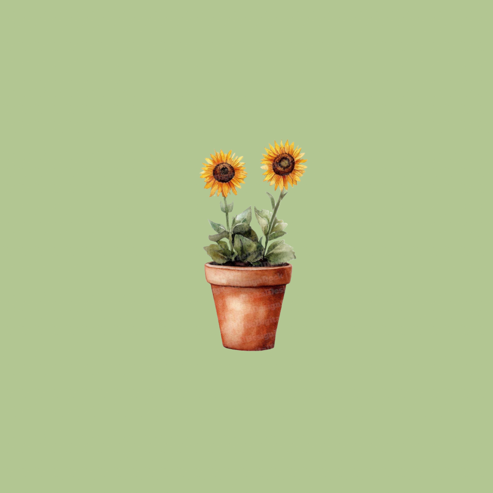 Terracotta Flowerpot ~ Small